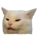 confusecato