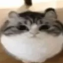 kittay
