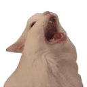 emoji_4 Discord sticker from CharmChums Studio