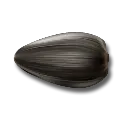 semechka