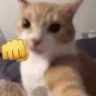 WHAM