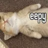 eepy
