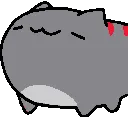 antichampponko