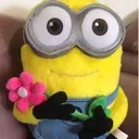 flowerforu flowerforu