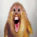 freakychicken freakychicken