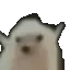fredPls