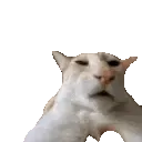 guh
