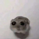 LcoBOOSTPORFAVOR Discord emoji