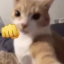 punch punch