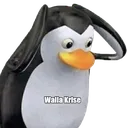 worried_linux_penguin