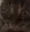 excus_me