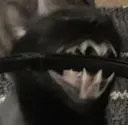 catferal