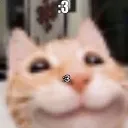 meow