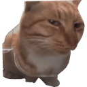 sus_cat Discord emoji