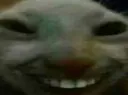 xdd