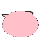 potchi_roll