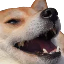 heh