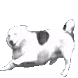 pixDoggoWag