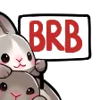 bun_brb01