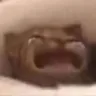 c9
