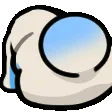 SUS