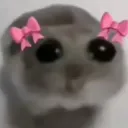unu unu