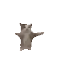 jumpcat
