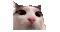 plinktosis