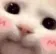 catBlushy