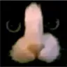 cb_gatopica