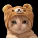 Babycat Discord Emoji