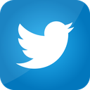 s_TwitterLogo Discord emoji