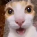 shock