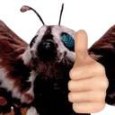 MothraThumbsUp