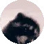 pedro