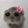 justagirl