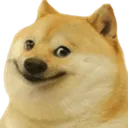 pipi