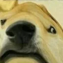 sniffer