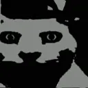 Cdarkcat