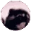 pedro