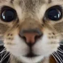 emoji_7 emoji_7