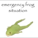 frog_emergencey frog_emergencey