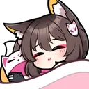NinSleep