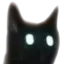 e11