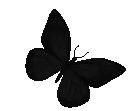 e20