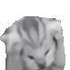 FuriousQat