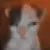 gatoschizo