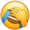 nanobroreal