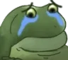 worryfrogcry