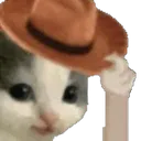 i_meowdy